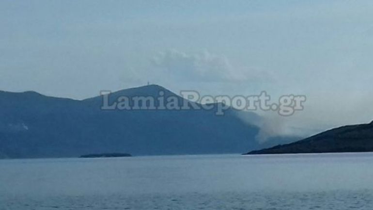 Πυρκαγιά σε πευκοδάσος στη Βόρεια Εύβοια – Σηκώθηκαν εναέρια μέσα